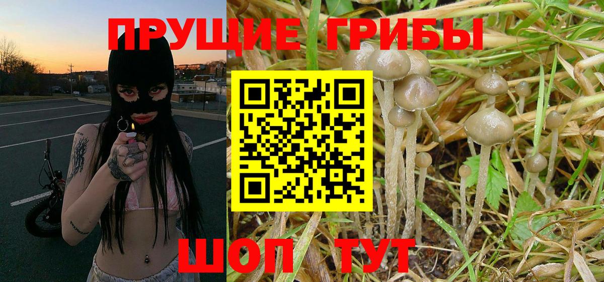Псилоцибиновые грибы Magic Shrooms  Галлюциногенные грибы Psilocybine cubensis  Вход с VPN  Петропавловск-Камчатский 